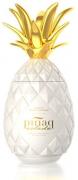 Pinaq Colada 1,0l 17%