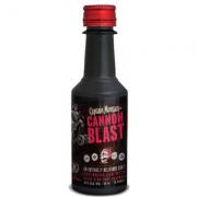 MINI Captain Morgan Cannon Blast 0,05l 35%