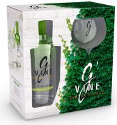 G´Vine Floraison 0,7l 40% +sklo